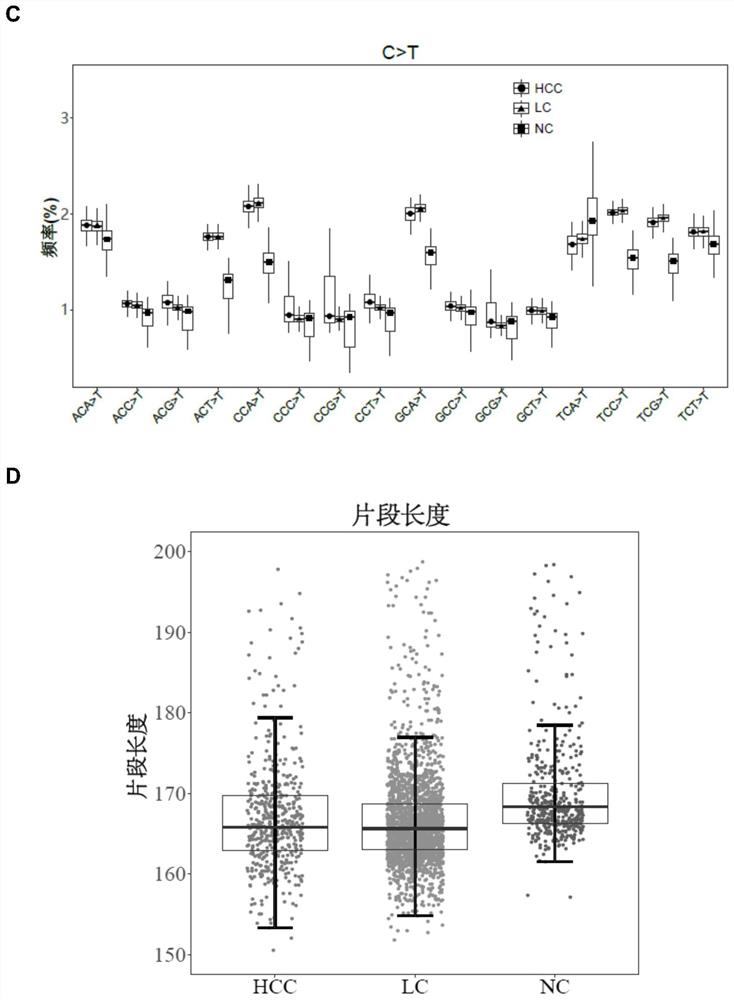 Method for constructing tumor screening modeland and application of tumor screening model