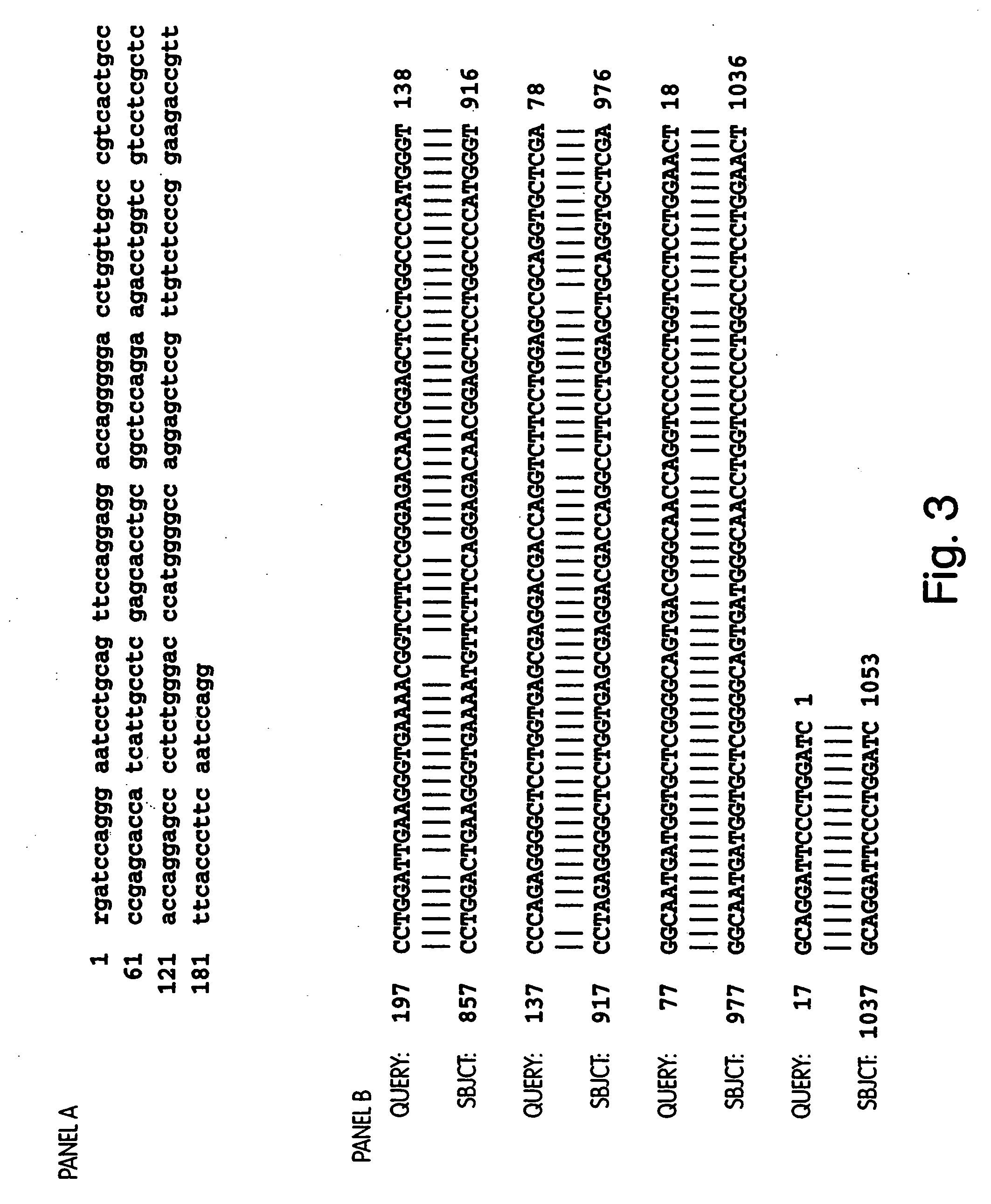 Method of detecting cardiac hypertrophy through probe hybridization and gene expression analysis