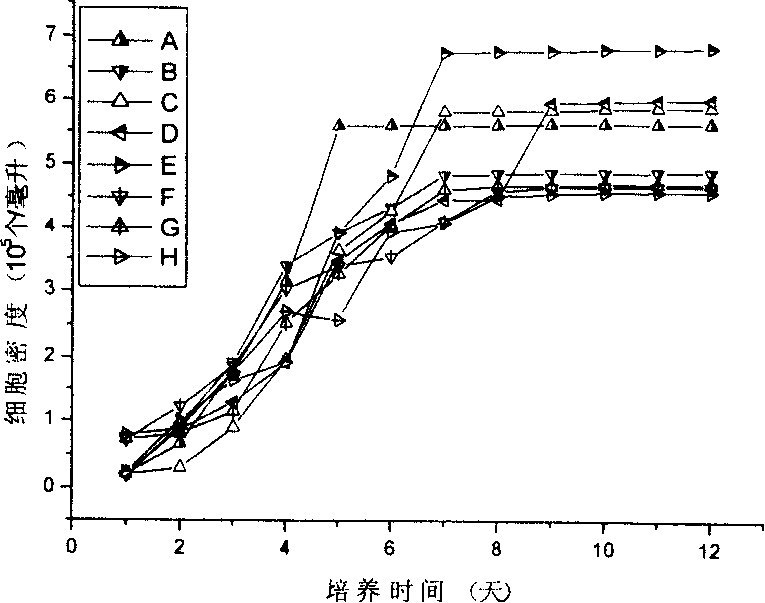 Traingular brown algae open culture method and its special culture meidum