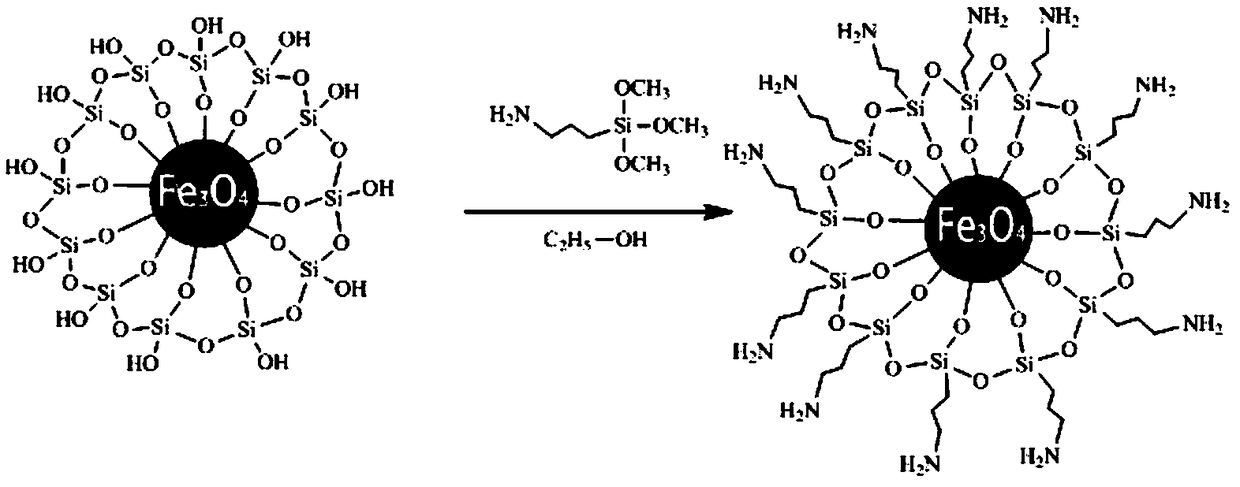 Preparation and application of amino-modified fe3o4@sio2@msio2 composite particles with mesoporous structure