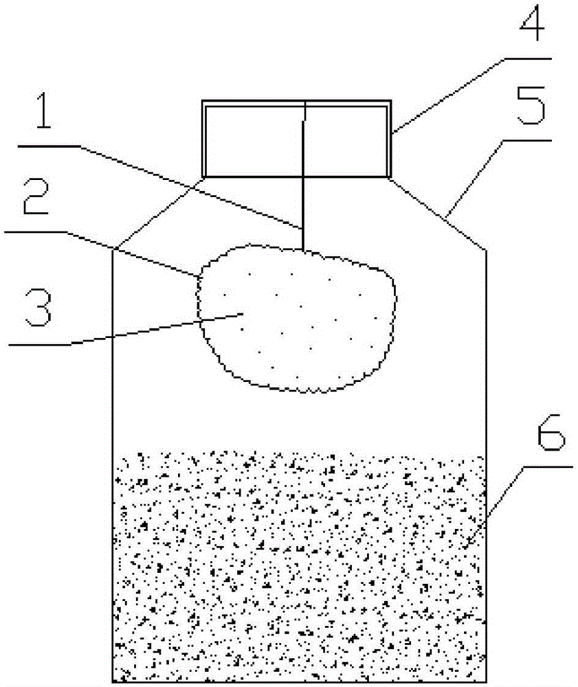 Method for identifying soil poisonous gas by water dropwort