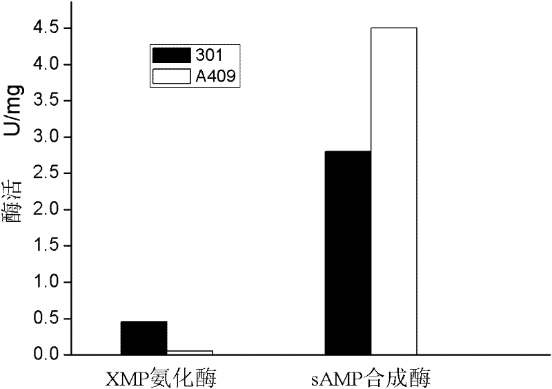 High-adenosine-yield Bacillus subtilis