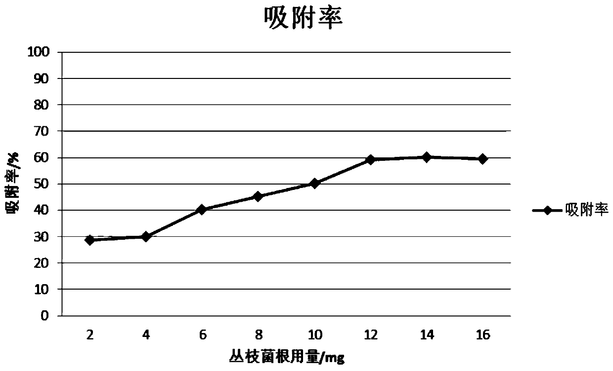 Method for adsorbing heavy metals in soil through plant-microorganism combination