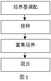 Sophocarpidine compound prevention and treatment agent for preventing and treating trialeurodes vaporariorum