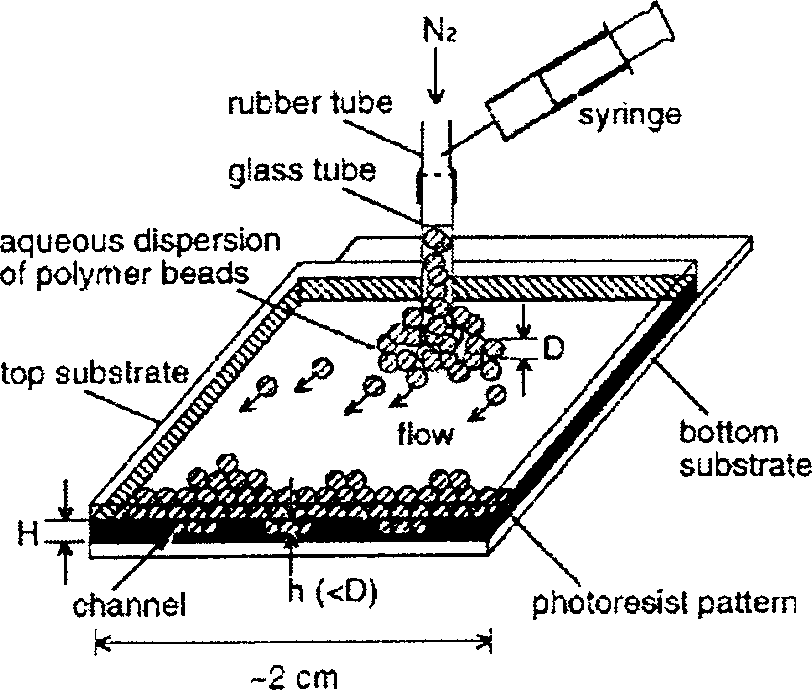 Capillary attration colloidal microball self-organization and two-dimensional, three-dimensional colloidal crystal preparing method