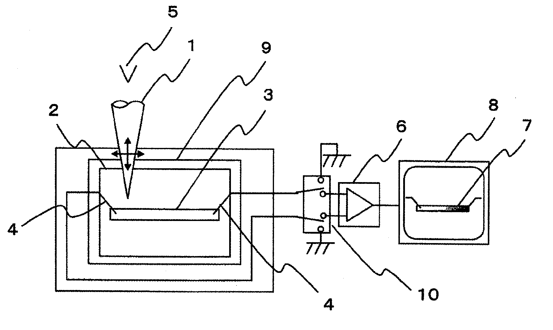 Sample inspection apparatus