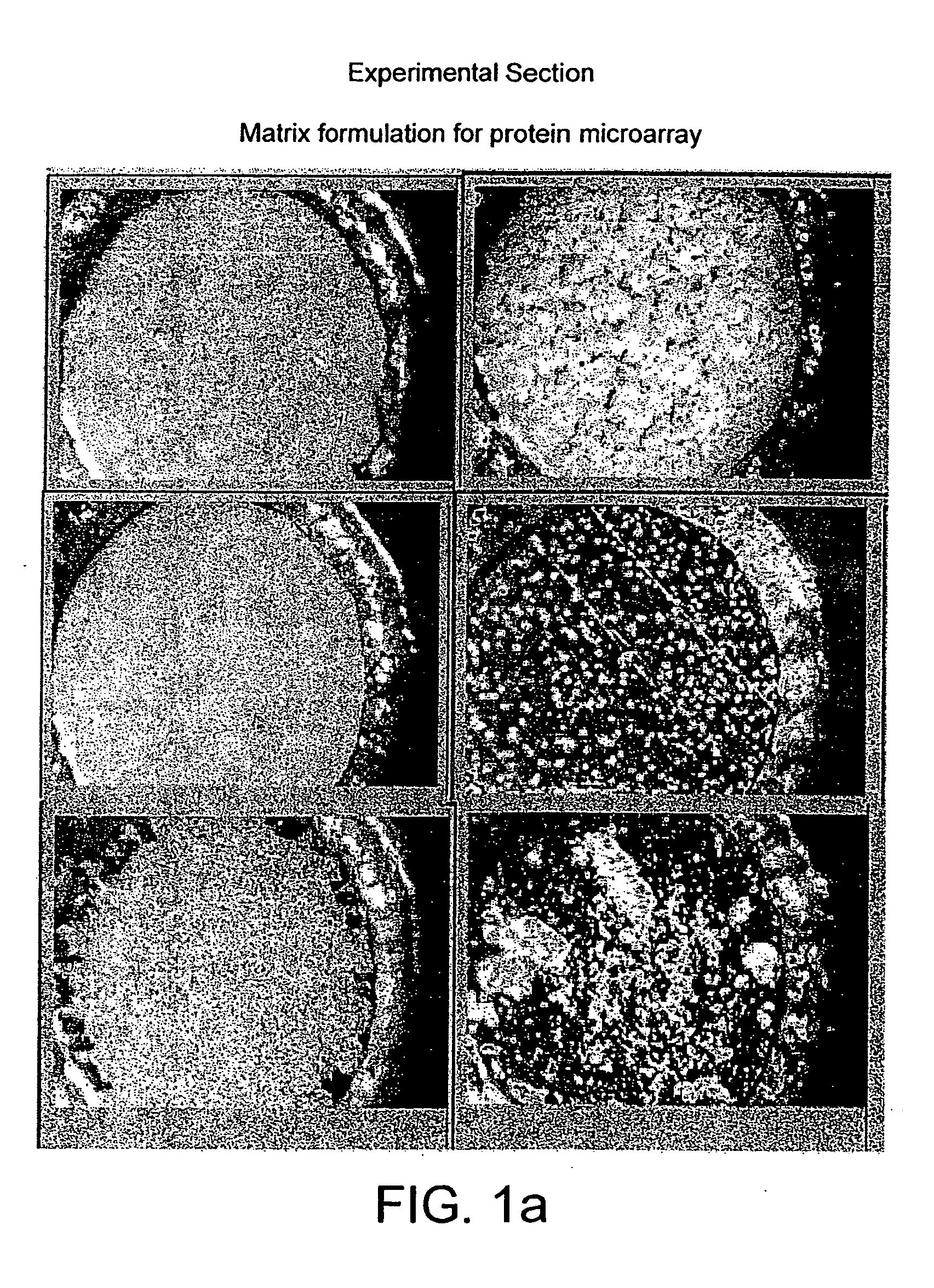 Probe for mass spectrometry