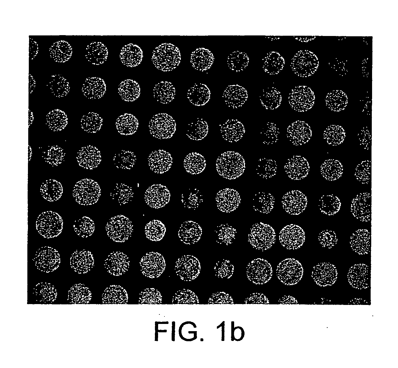 Probe for mass spectrometry