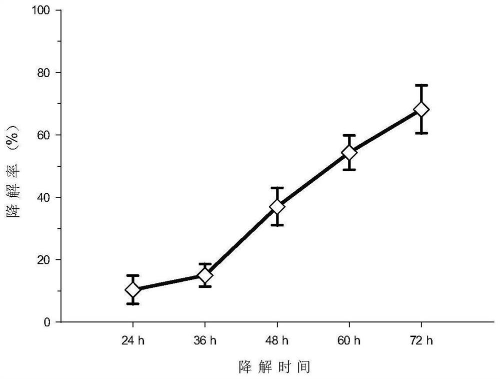 Erythrocin degradation bacterium pseudomonas aeruginosa RJJ-1 and application thereof