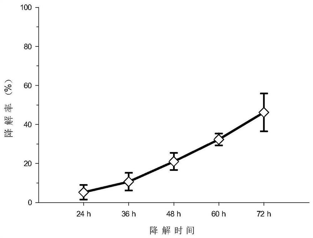 Erythrocin degradation bacterium pseudomonas aeruginosa RJJ-1 and application thereof