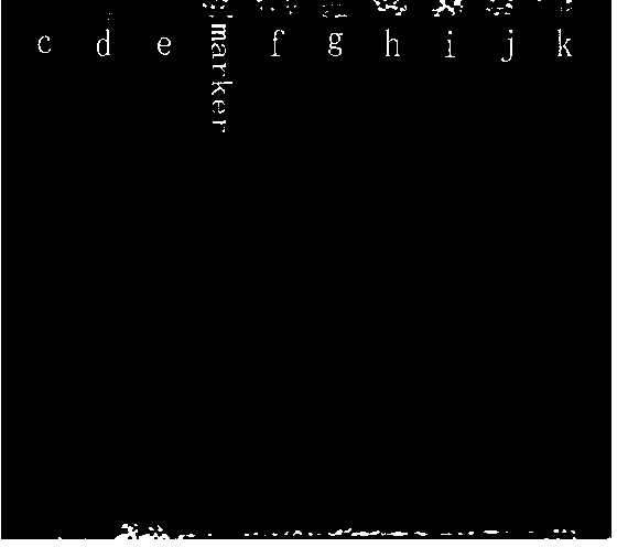 Method for purifying silk fibroin