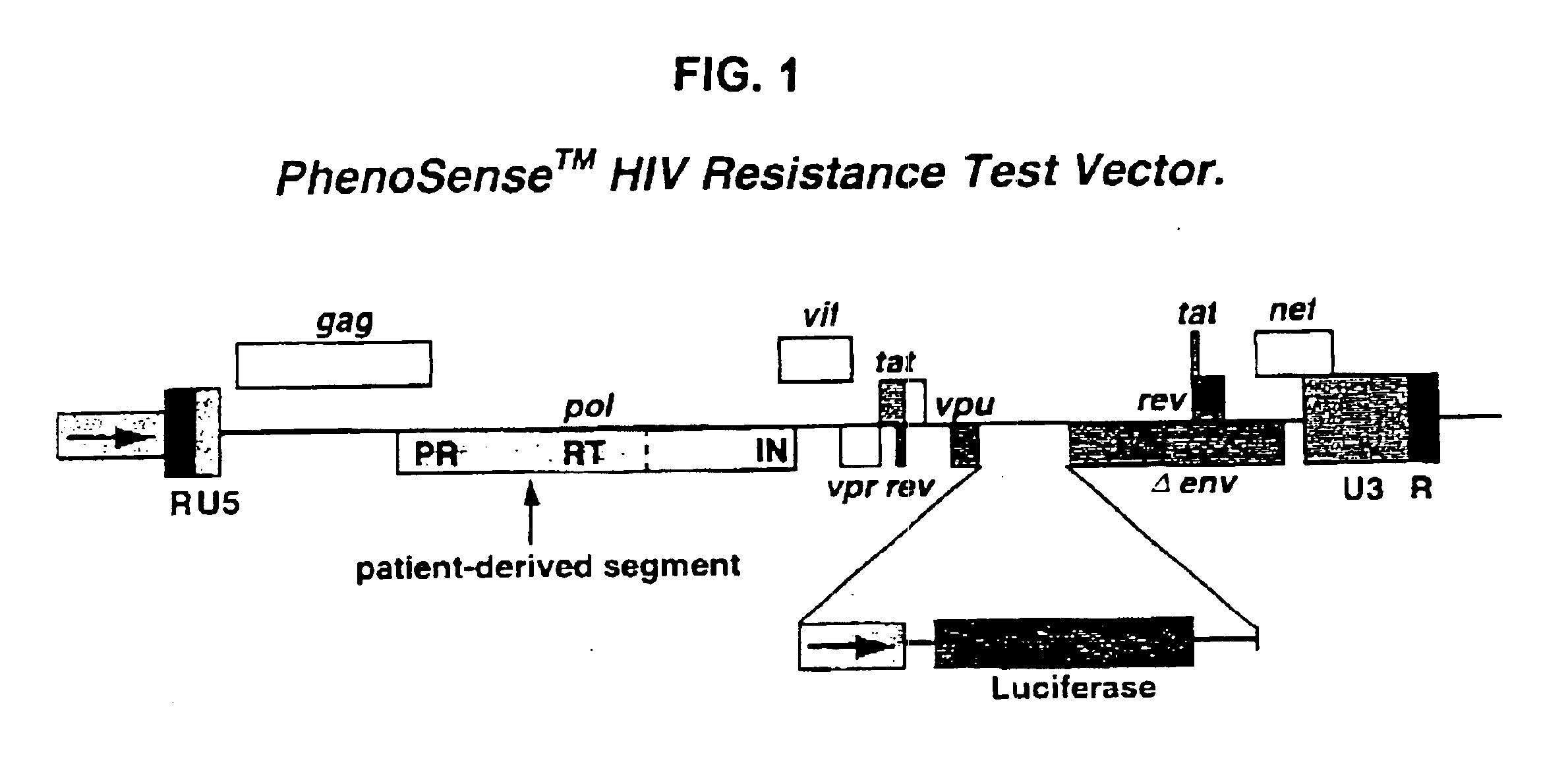 Means and methods for monitoring protease inhibitor antiretroviral therapy and guiding therapeutic decisions in the treatment of HIV/AIDS