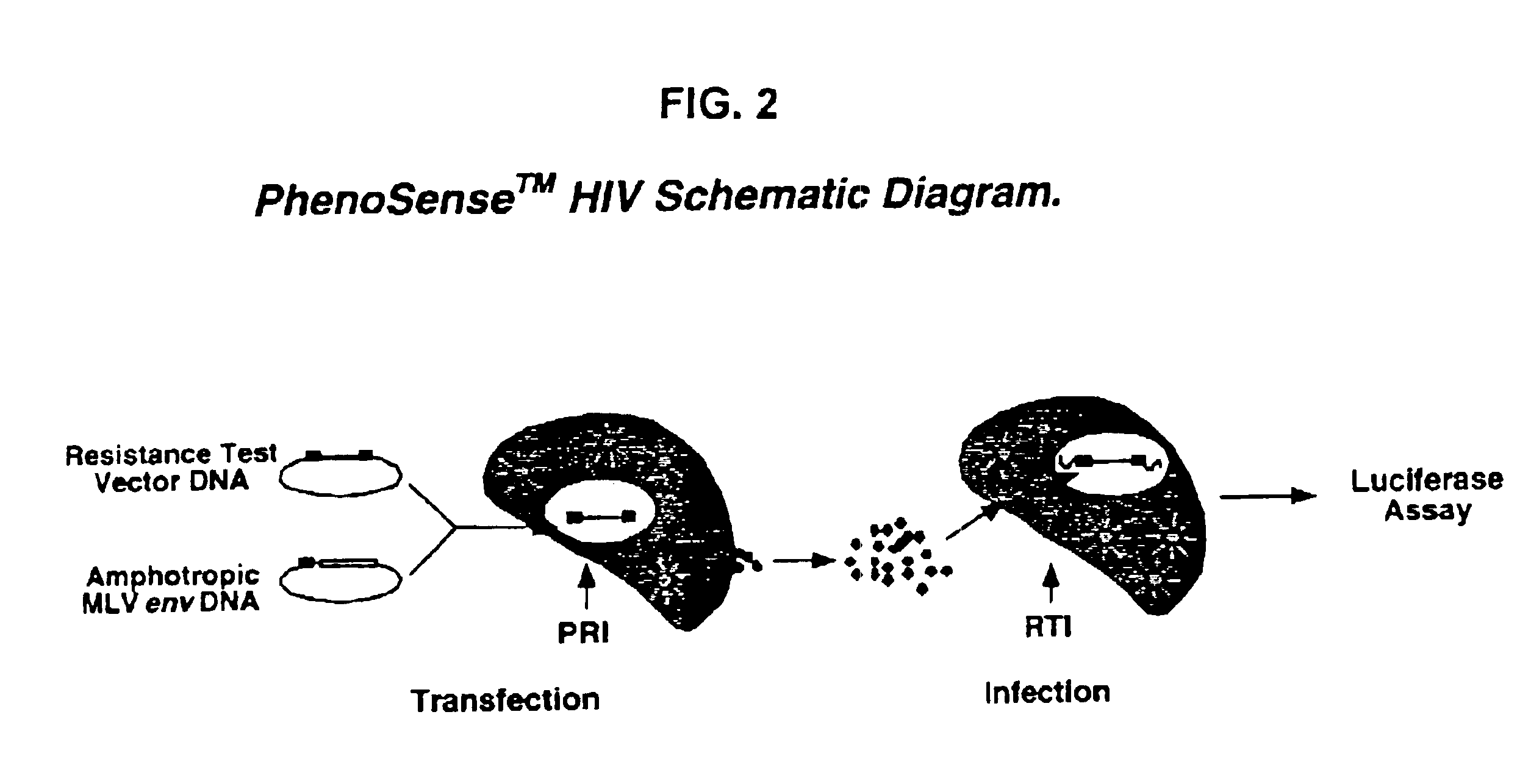 Means and methods for monitoring protease inhibitor antiretroviral therapy and guiding therapeutic decisions in the treatment of HIV/AIDS