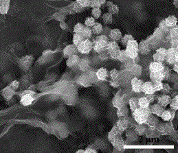 Carbon nanotube/carbon fiber composite material and carbon-base/manganese oxide composite electrode material