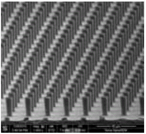 Reflective X-ray source structure of patterned carbon nanotube cathode