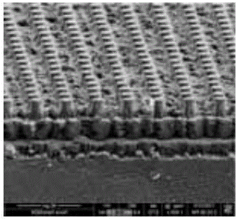 Reflective X-ray source structure of patterned carbon nanotube cathode