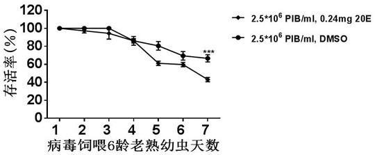 Pesticide for preventing and controlling cotton bollworms by nuclear polyhedrosis viruses as well as preparation method and application thereof