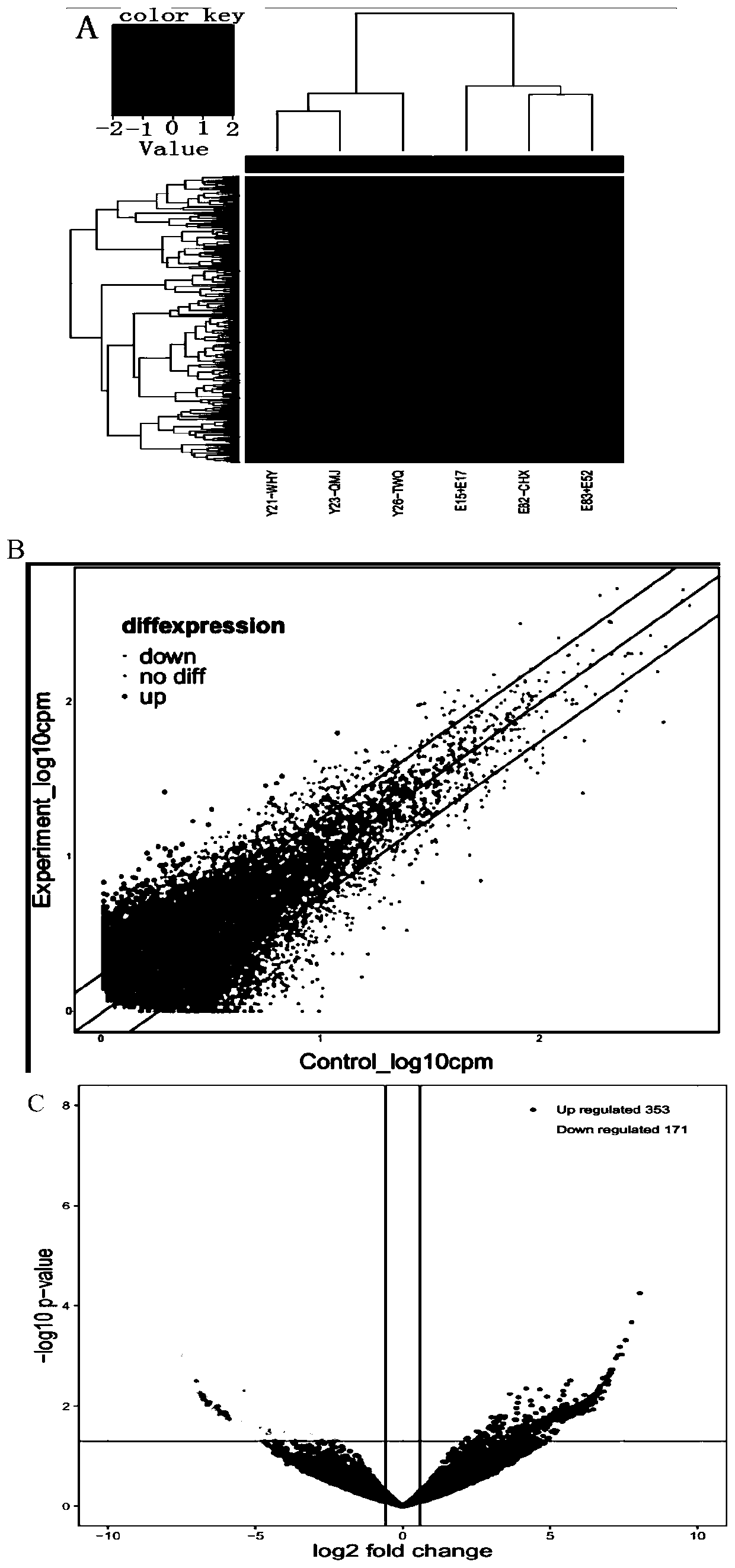 Application of circRNA marker for diagnosing thalassemia