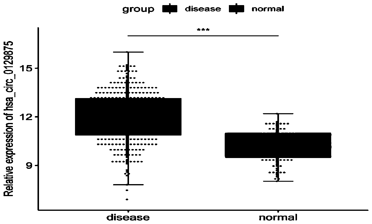 Application of circRNA marker for diagnosing thalassemia