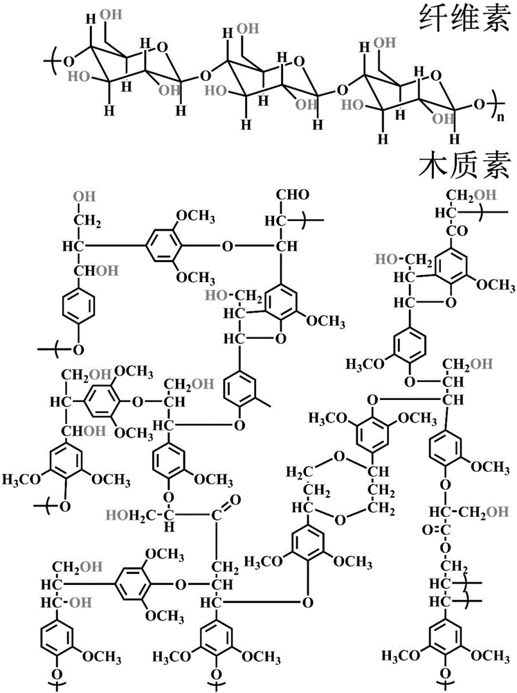 Rice husk based C/magnetic Co particle composite wave absorber and preparation method thereof