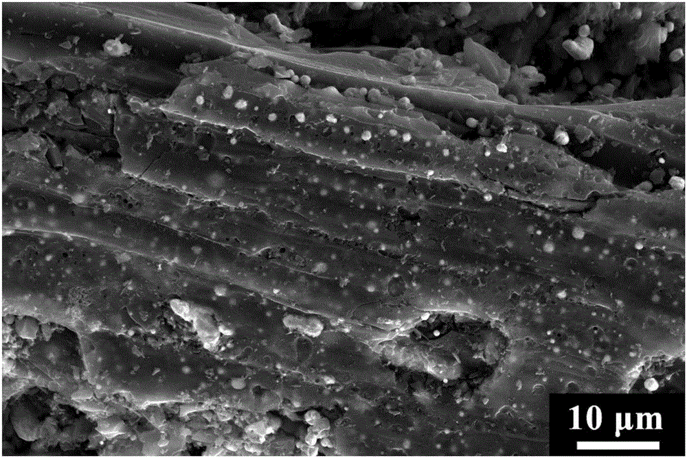 Rice husk based C/magnetic Co particle composite wave absorber and preparation method thereof