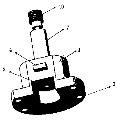 Biomass granular fuel preparation device