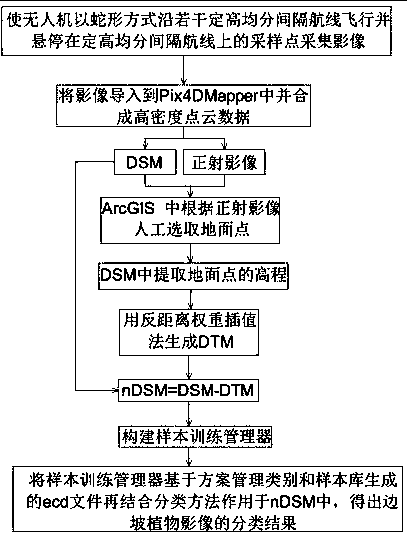 Unmanned aerial vehicle slope vegetation classification method based on plant height