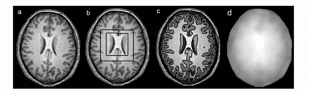 Multi-target picture segmentation based on level set