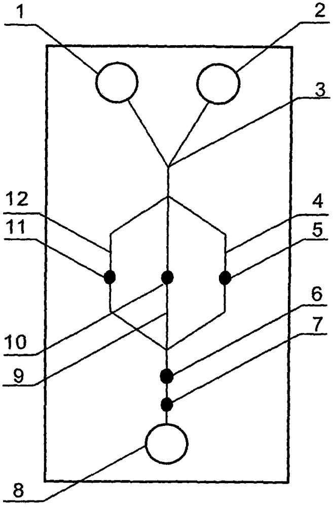 Multi-channel micro-fluidic chip device for simultaneously detecting various kinds of subtype swine flu