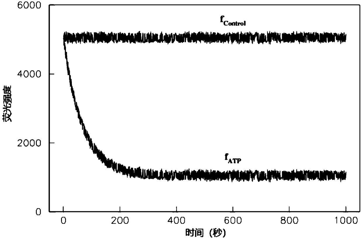 Kinesin activity detection method