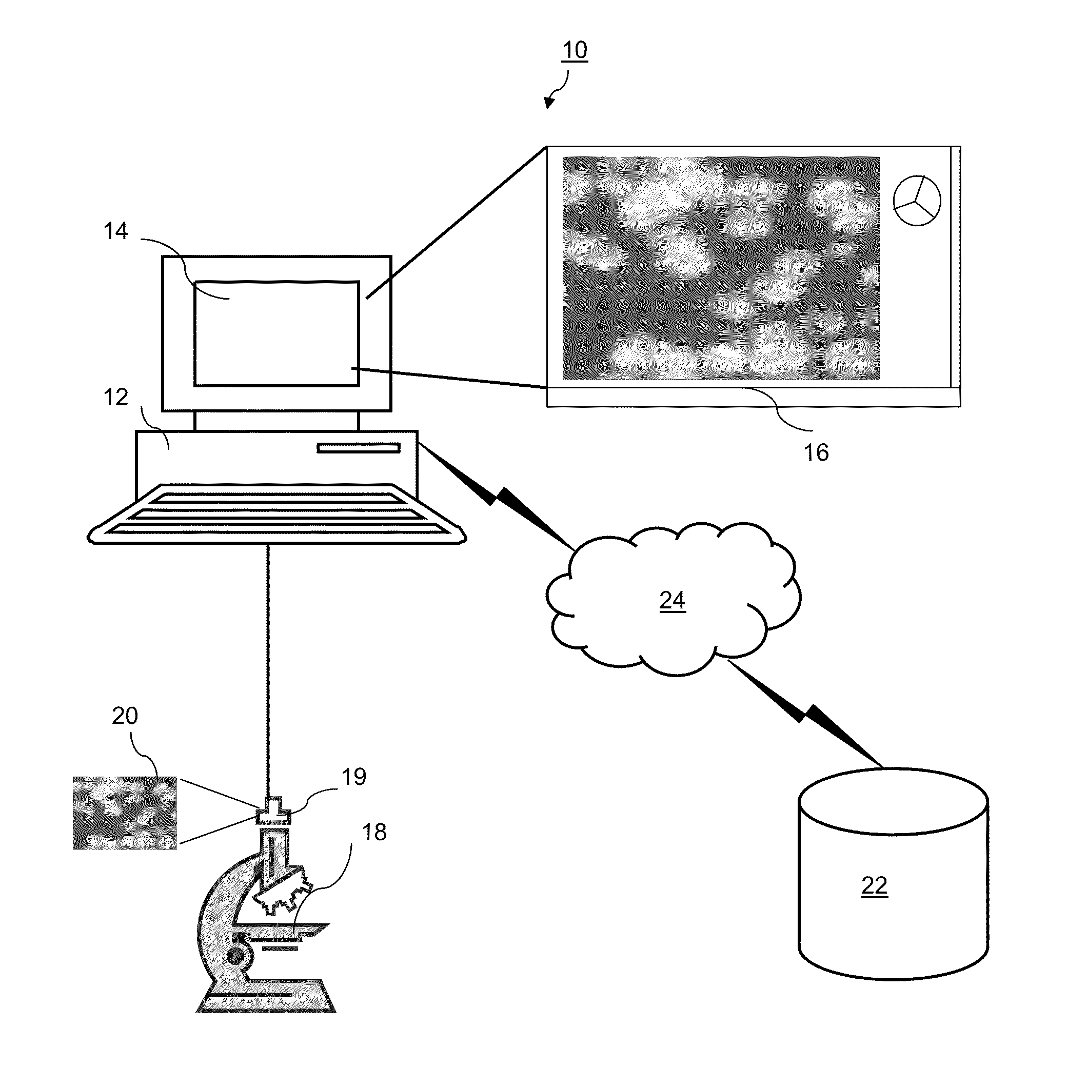 Automated fish reader using learning machines