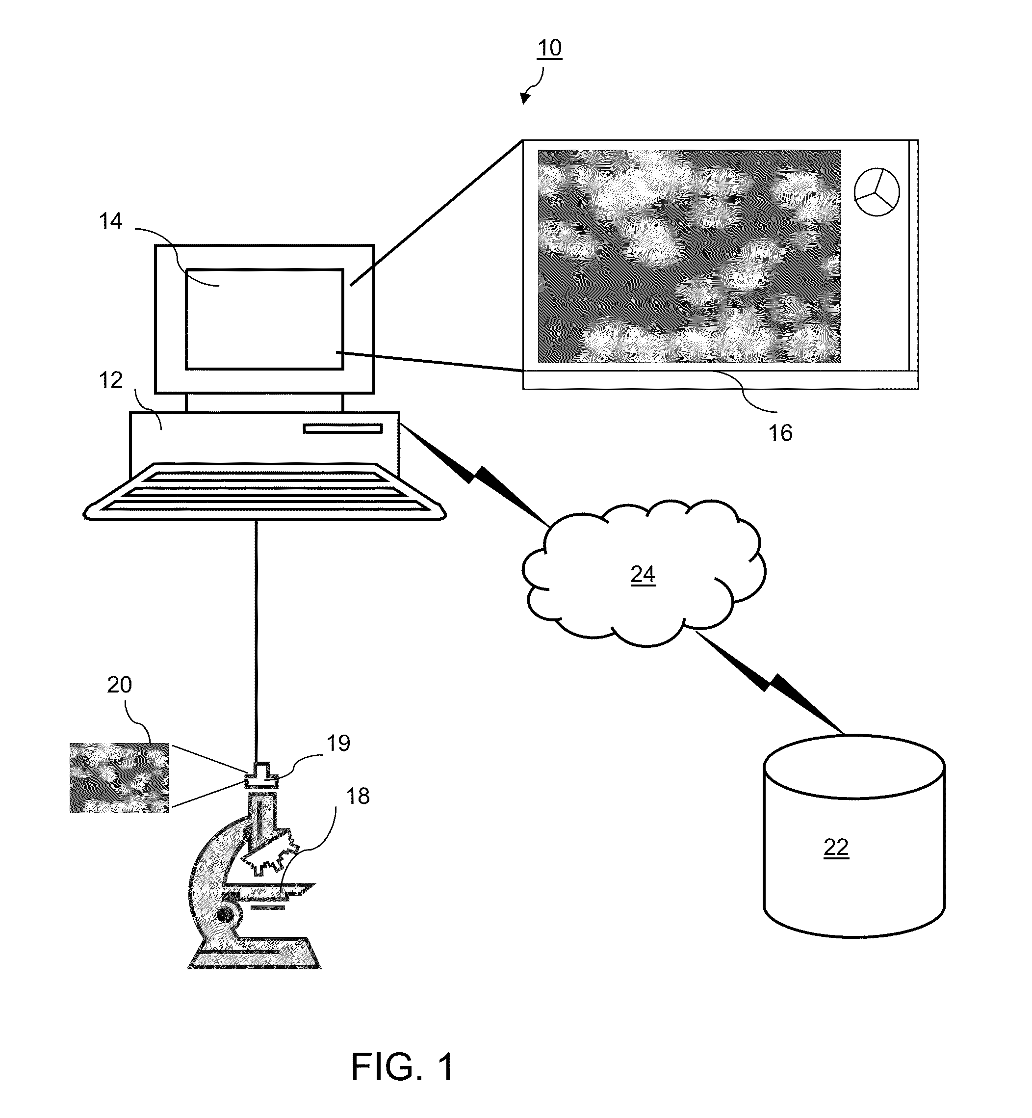 Automated fish reader using learning machines