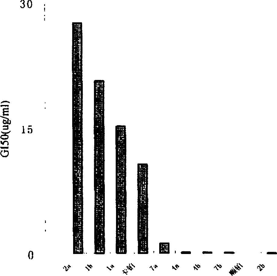 Antitumor platinum (II) compound using camphor acid radical as ligand