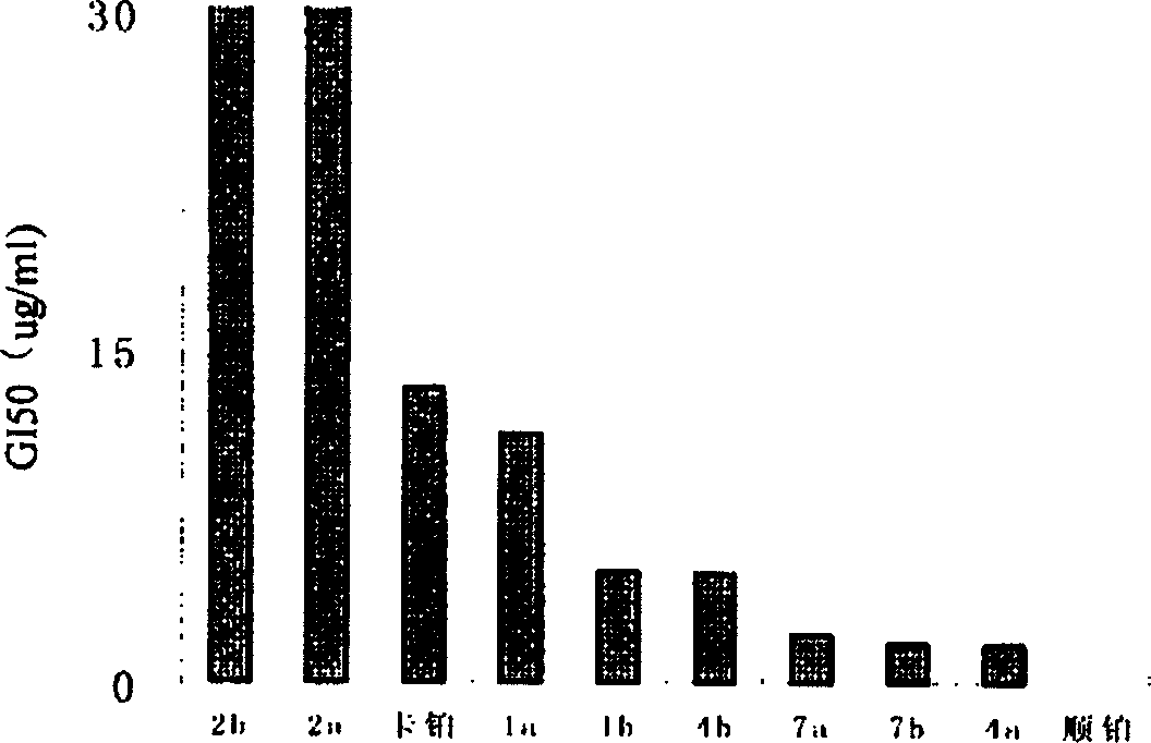 Antitumor platinum (II) compound using camphor acid radical as ligand