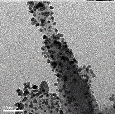 Nano-copper coated porous nano silicon composite material as well as preparation method and application thereof