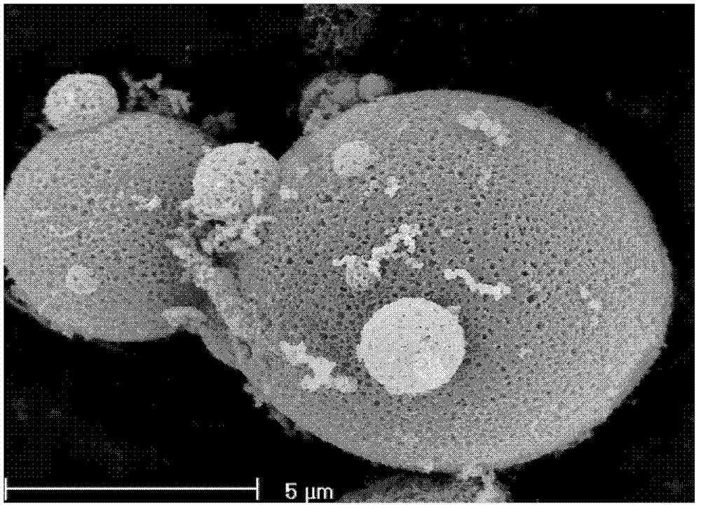 Porous silica microsphere preparation method