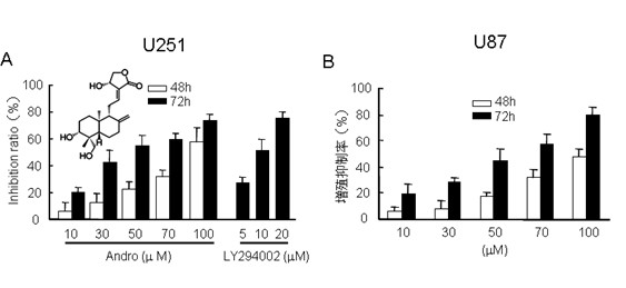 New medicinal application of andrographolide