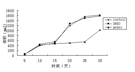 New medicinal application of andrographolide