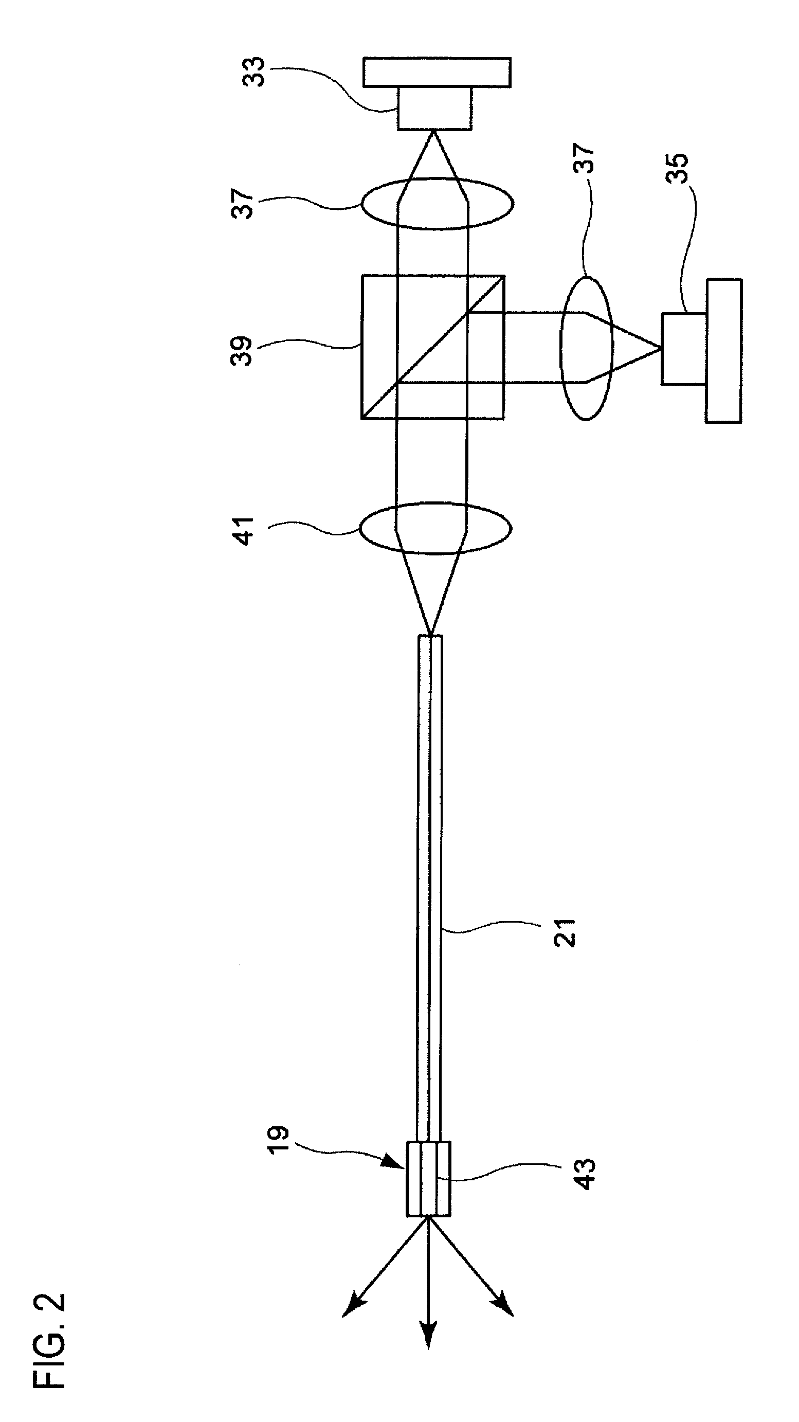 Light source device, imaging apparatus and endoscope apparatus