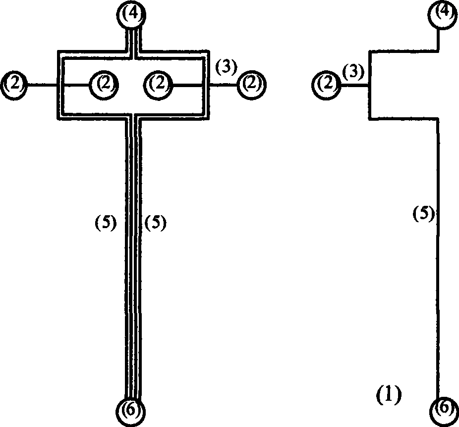 Method for rapid quantitatively evaluating interaction of medicament nucleic acids