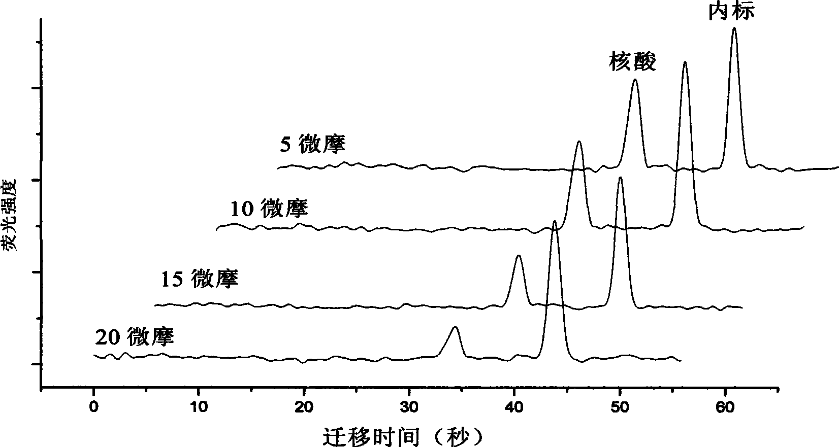 Method for rapid quantitatively evaluating interaction of medicament nucleic acids