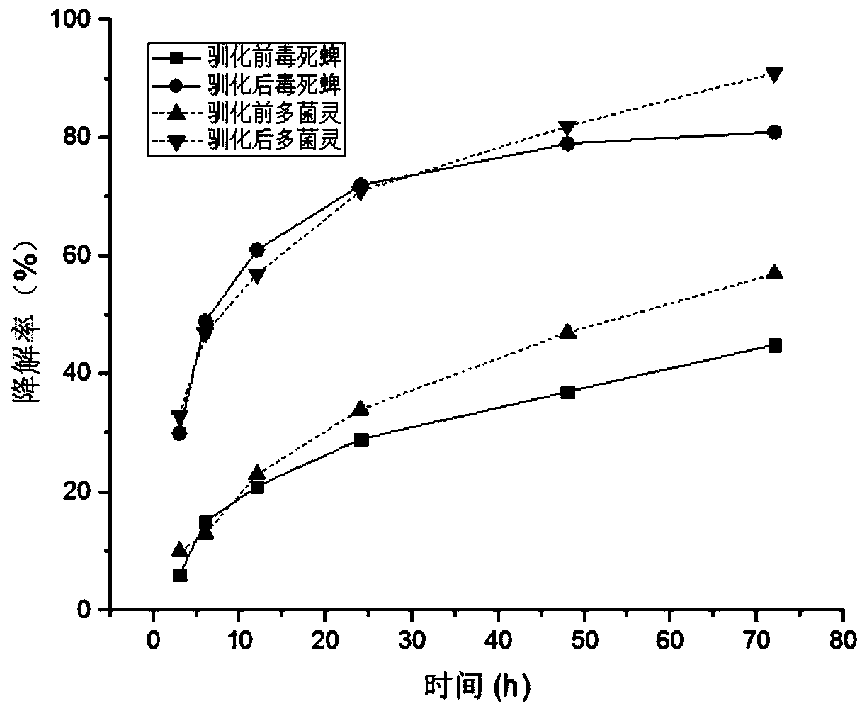 Lactococcus lactis subsp. lactic acid strain, enzyme preparation and its application in degrading pesticide residues