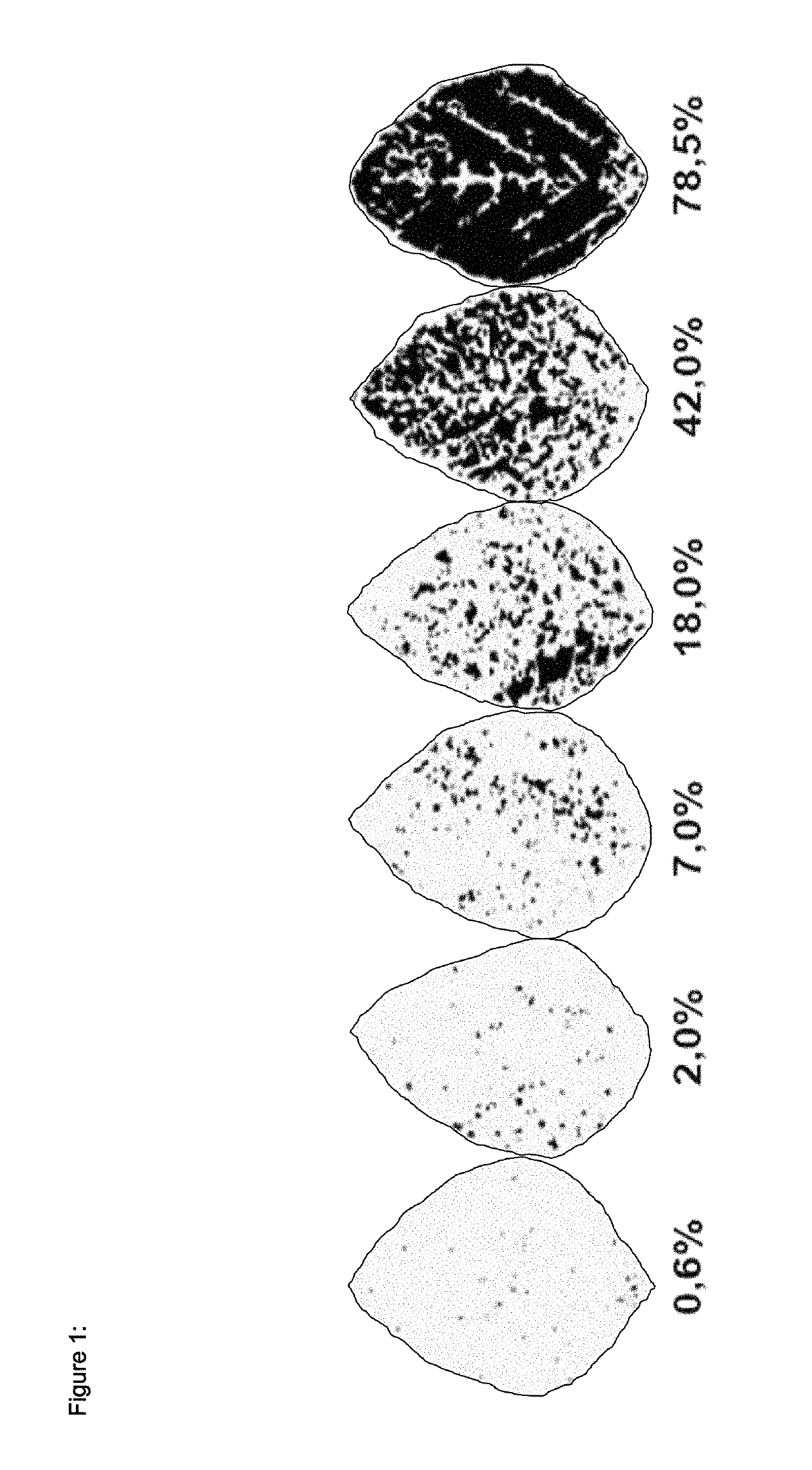 Fungal resistant plants expressing MybTF