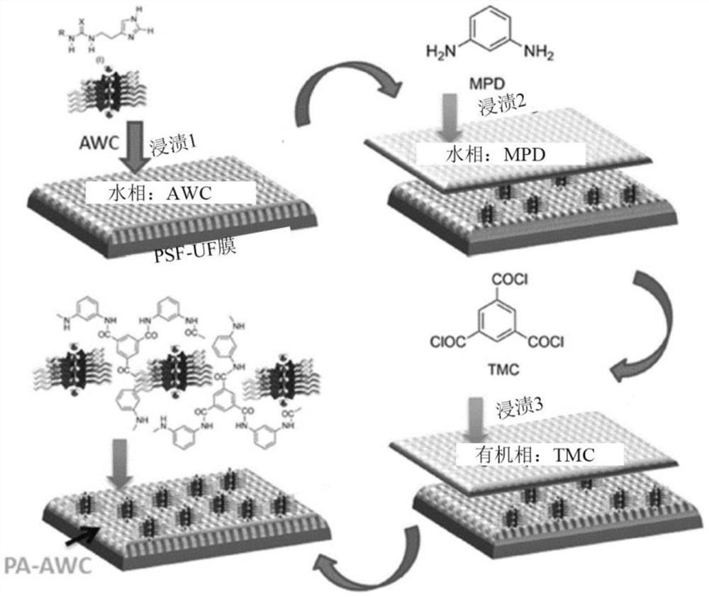 Composite biomimetic membrane with artificial water channel