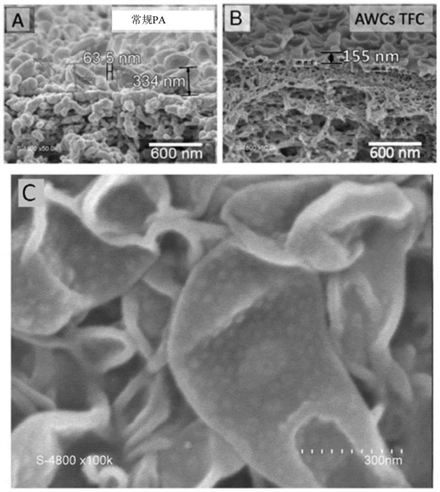 Composite biomimetic membrane with artificial water channel