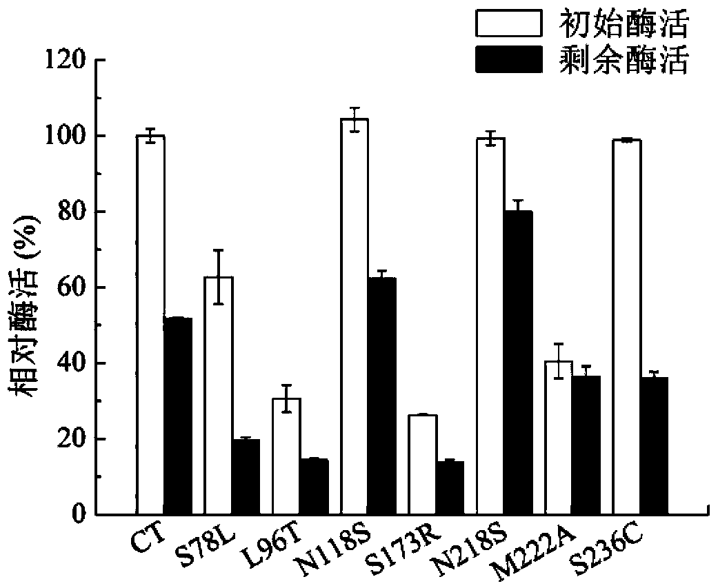 Keratinase mutant subjected to thermal stability modification