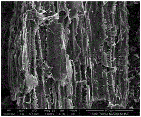 Preparation method of cotton stalk based activated carbon