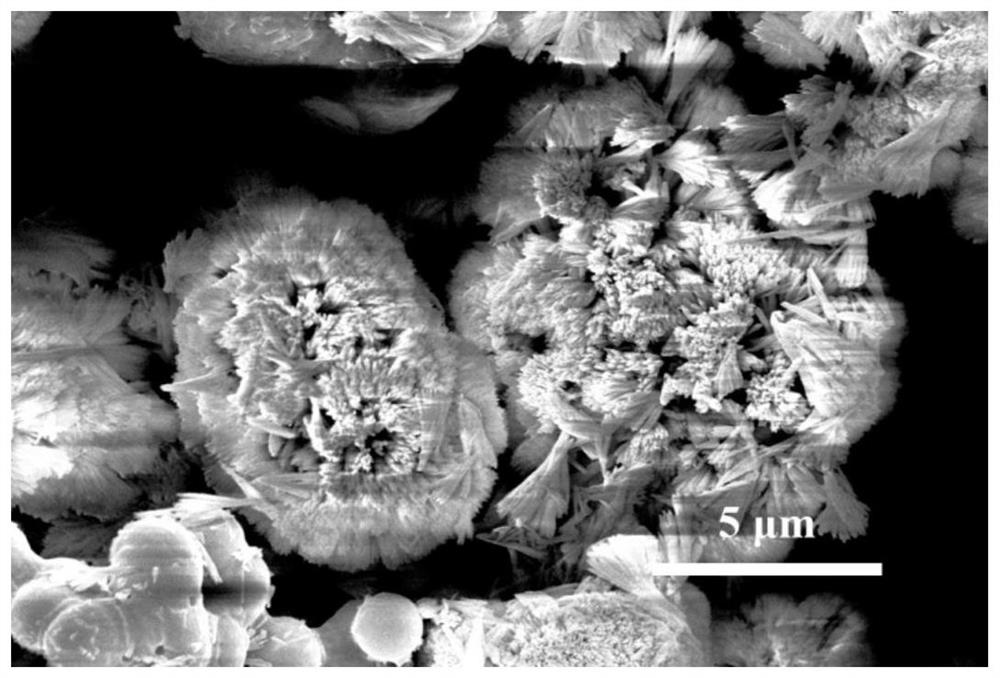 Composite fluorescent material with multiple fluorescence characteristics as well as preparation method and application thereof