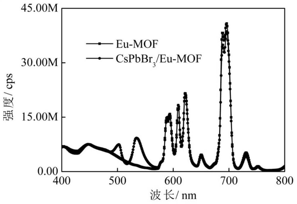 Composite fluorescent material with multiple fluorescence characteristics as well as preparation method and application thereof