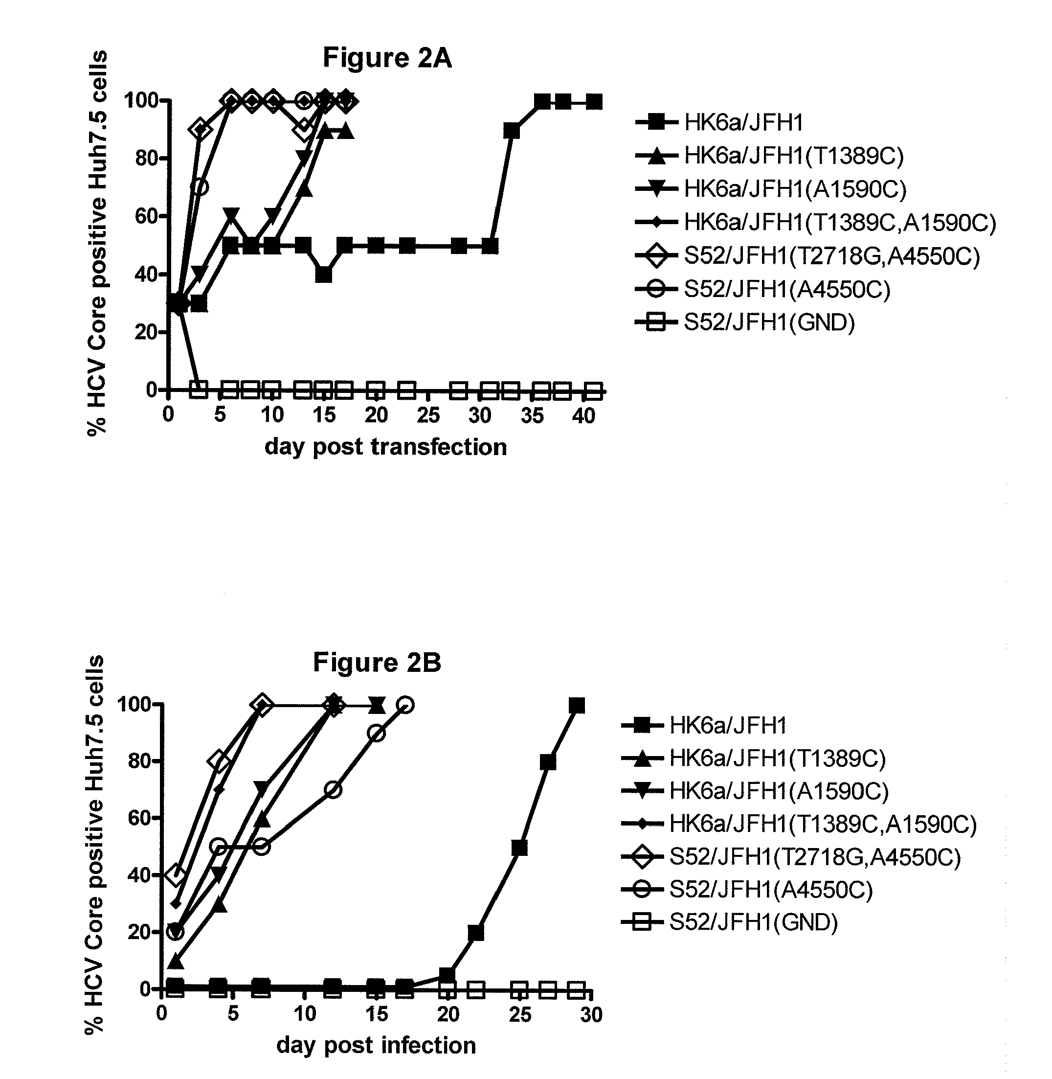 Efficient cell culture system for hepatitis C virus genotype 6A